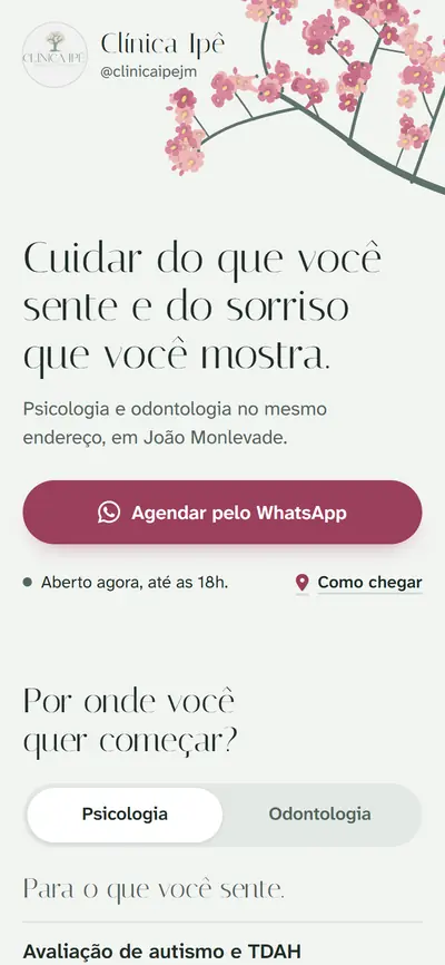 Página da Clínica Ipê, de psicologia e odontologia